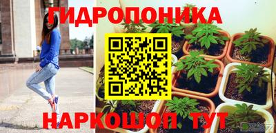 дурь Шелехов