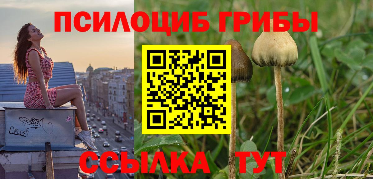 Псилоцибиновые грибы мухоморы Лениногорск