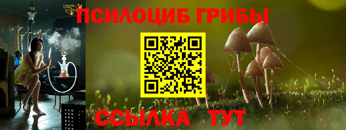 Галлюциногенные грибы GOLDEN TEACHER  Псилоцибиновые грибы Cubensis  Лениногорск  Вход с VPN 